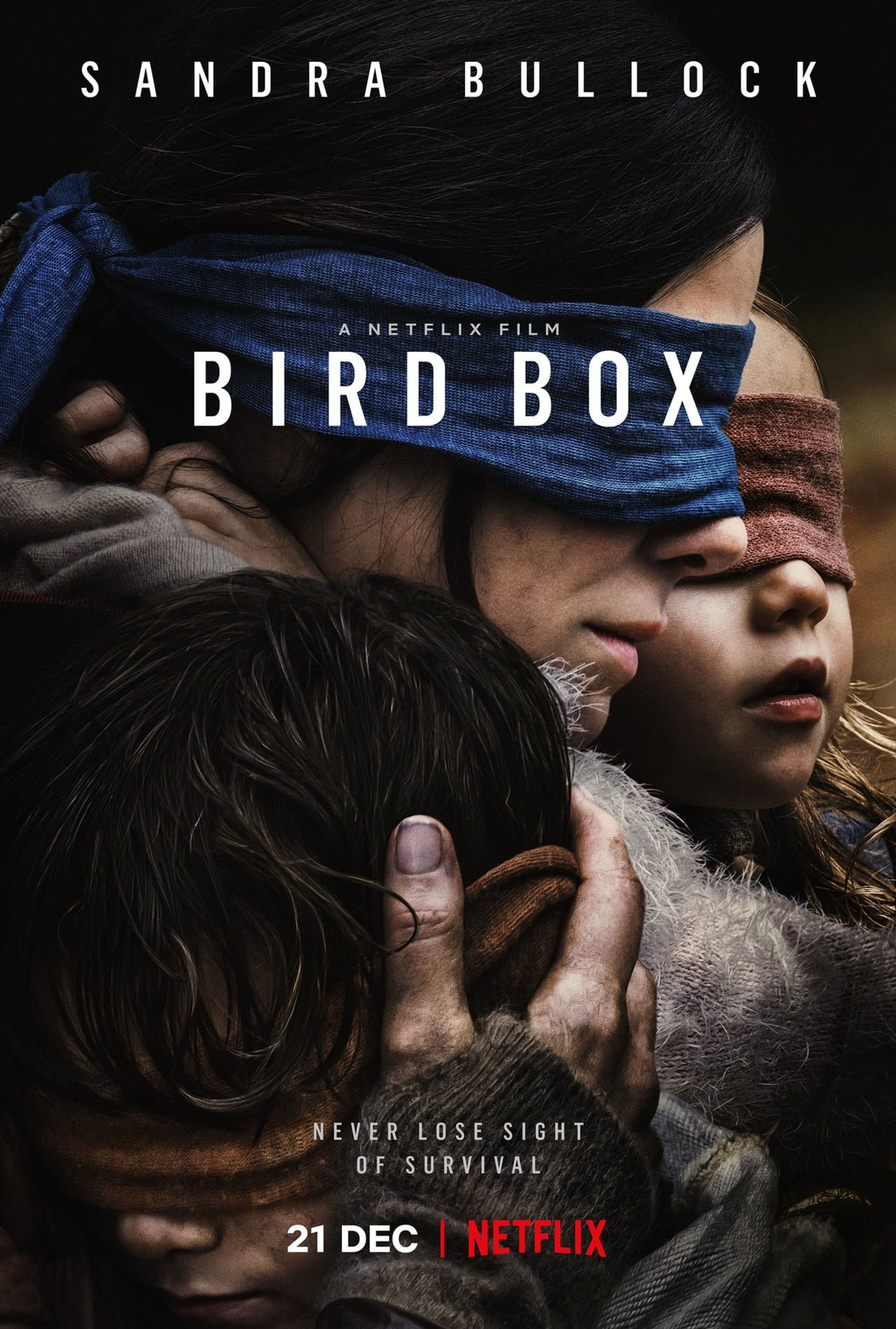 Immagine di copertina per Bird Box, la recensione