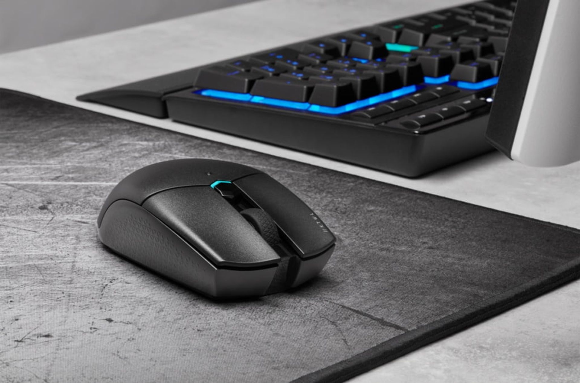 Immagine di copertina per CORSAIR Katar Pro: Il nuovo Mouse Wireless da Gaming