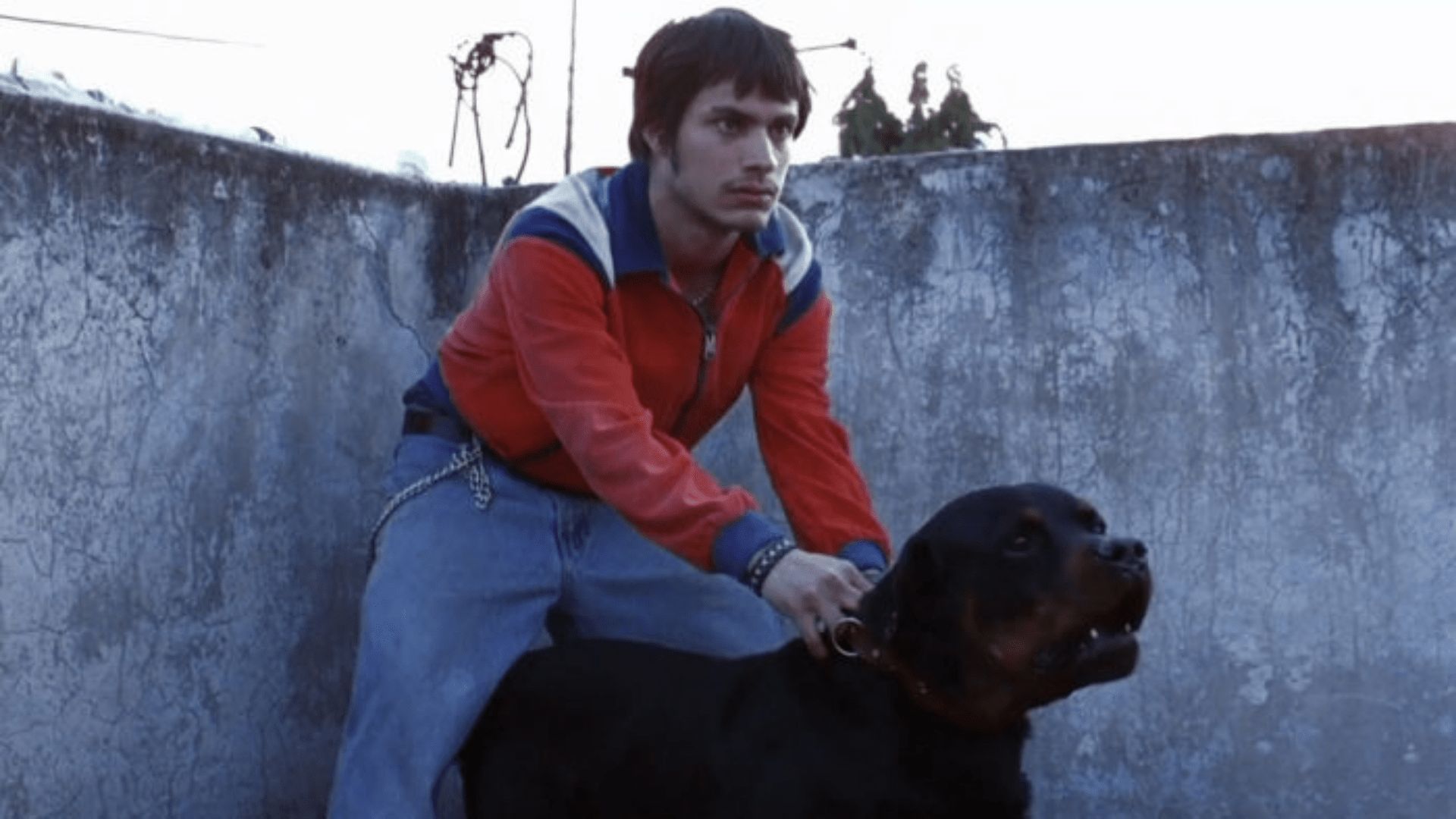 Octavio in una scena di Amores Perros 10025167