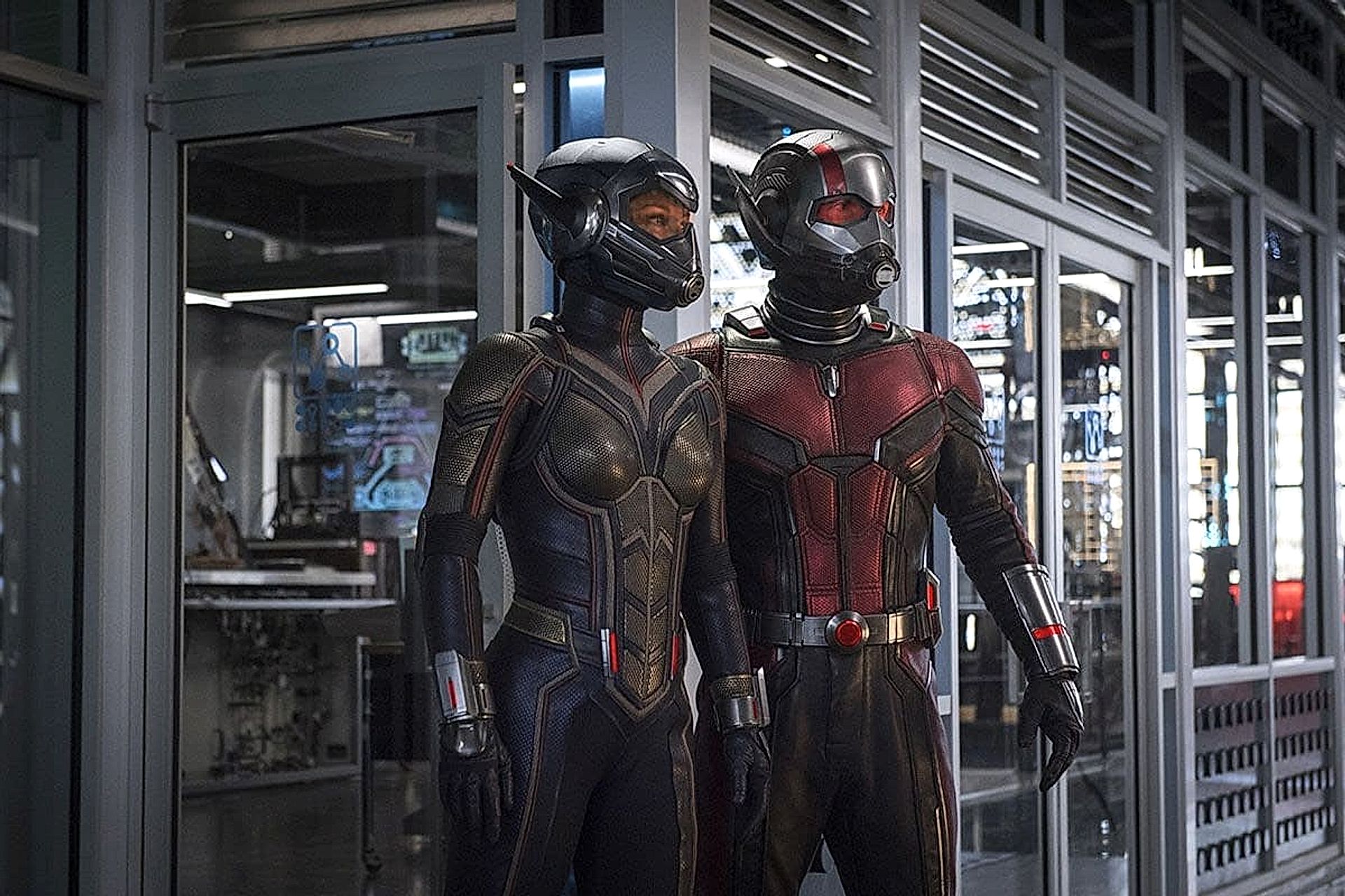 Ant-Man and The Wasp: Quantumania film 2023 10040635