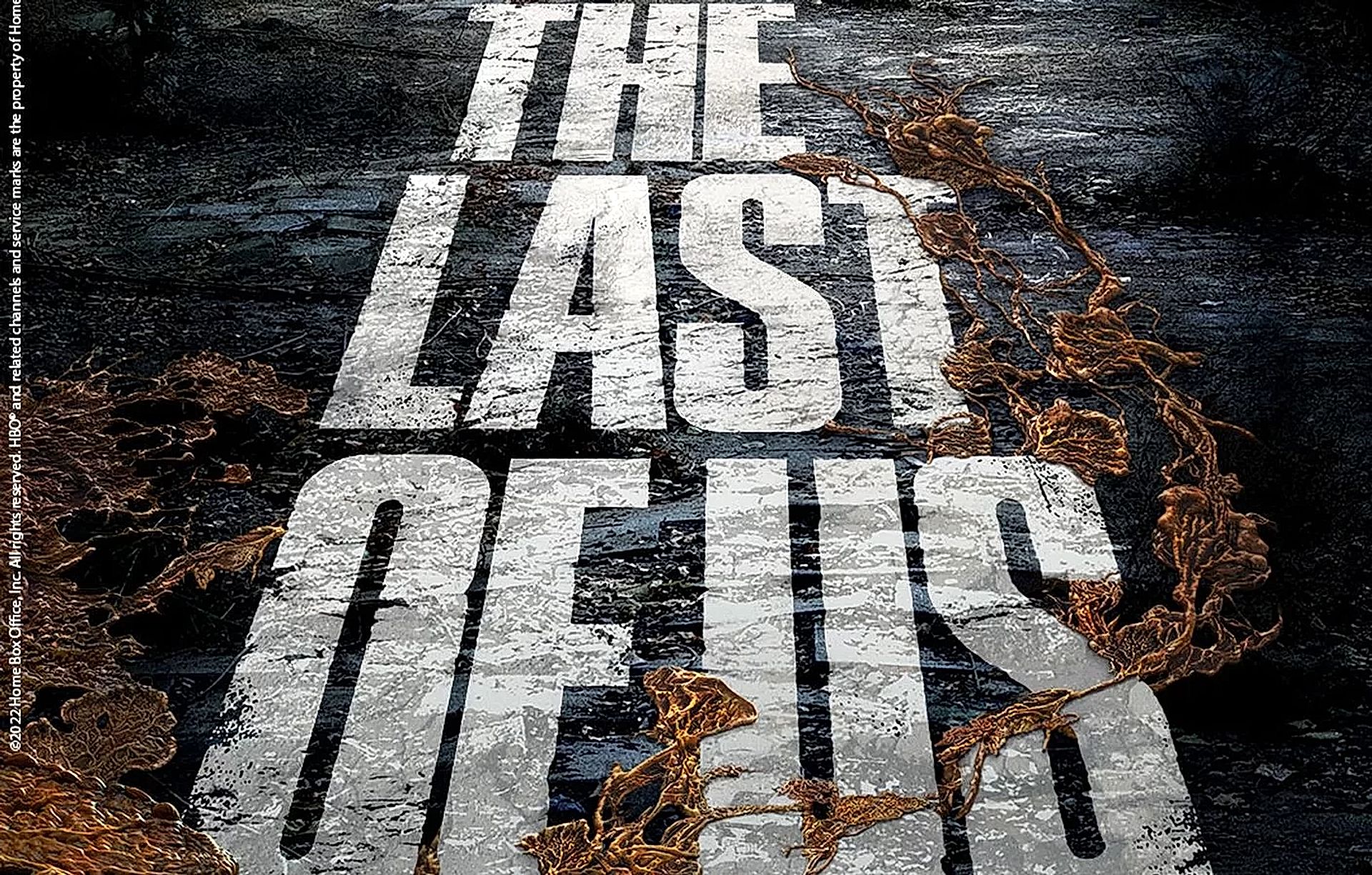 The Last Of Us