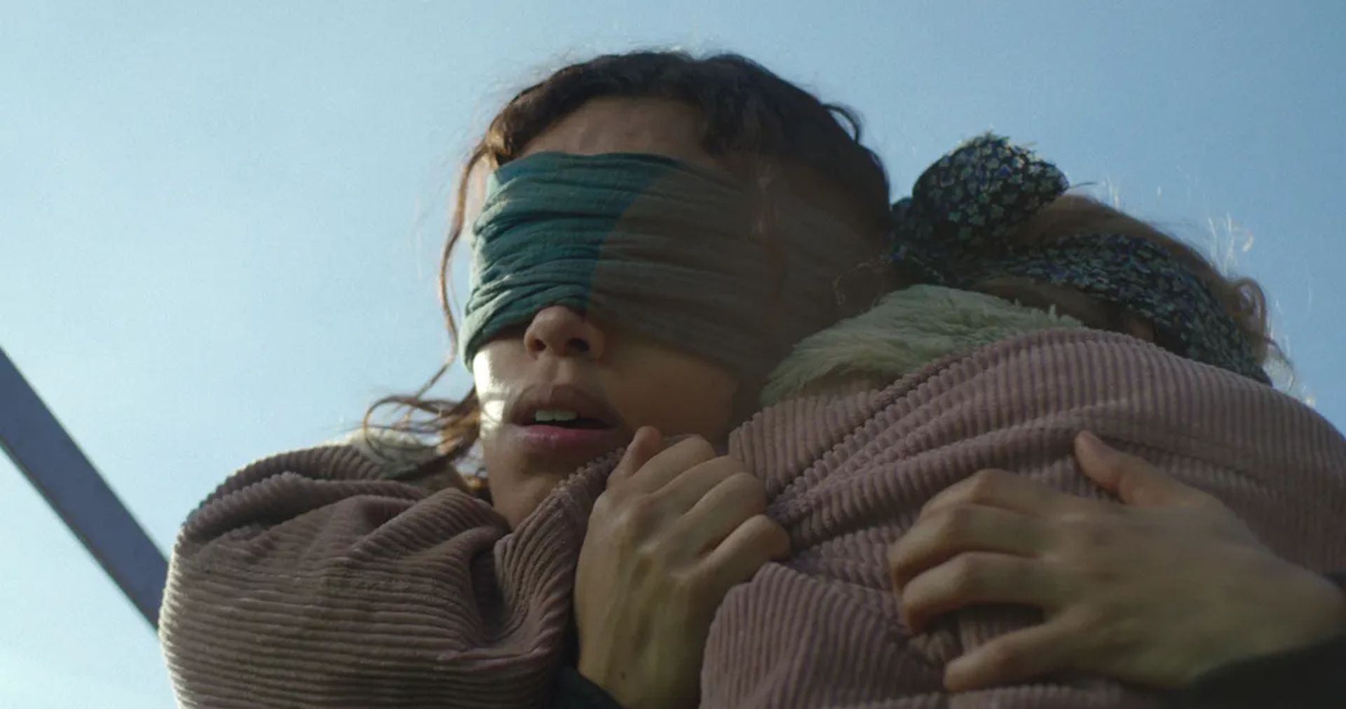 BIRD BOX  10058111