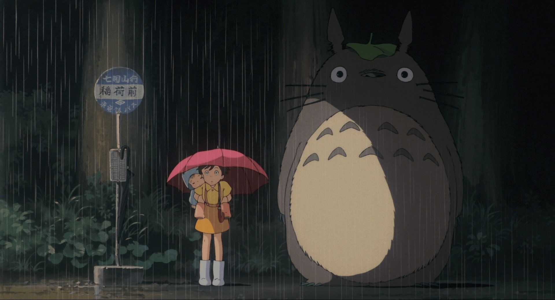 totoro studio ghibli 10057471