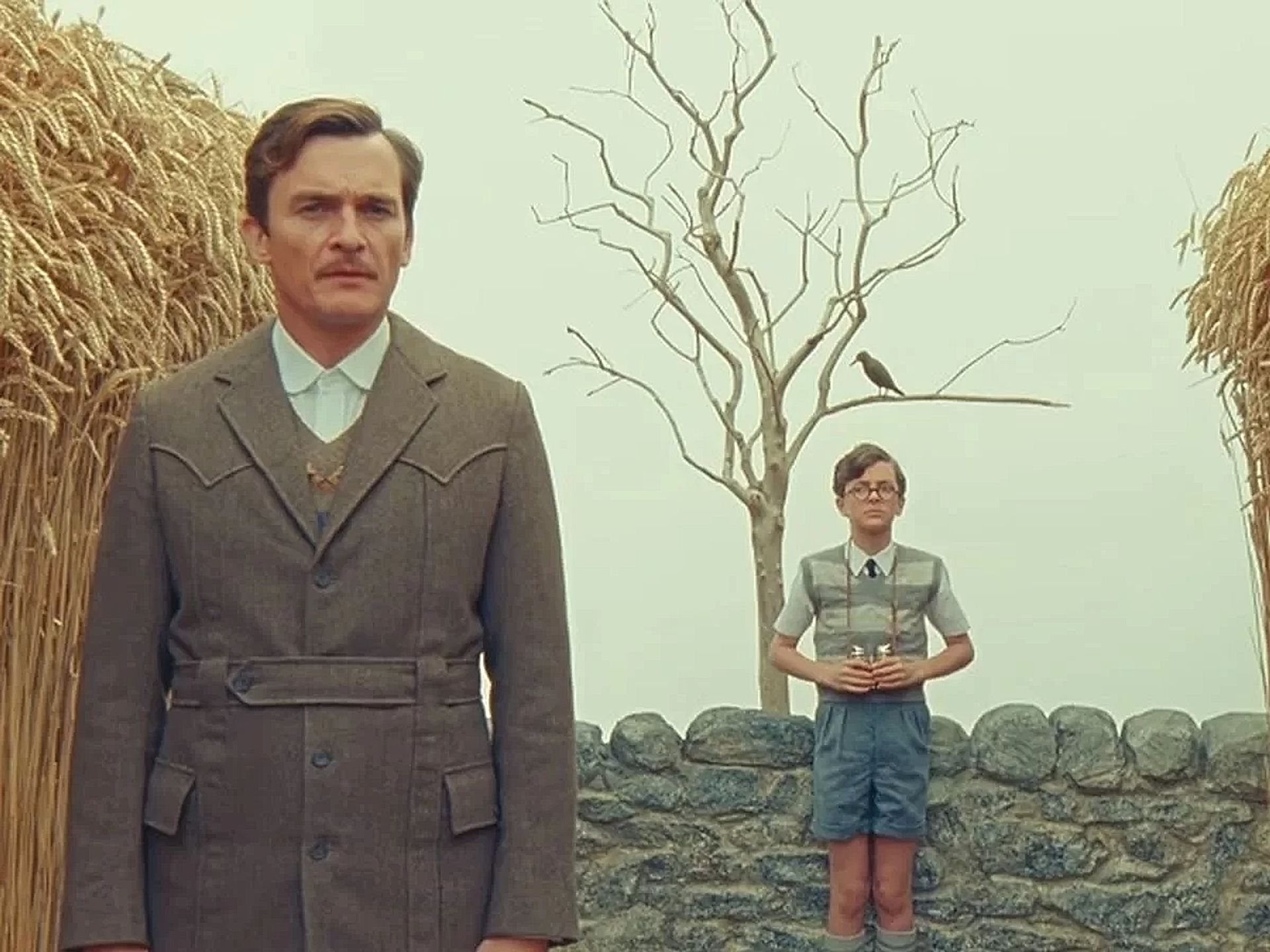 wes anderson 10061714