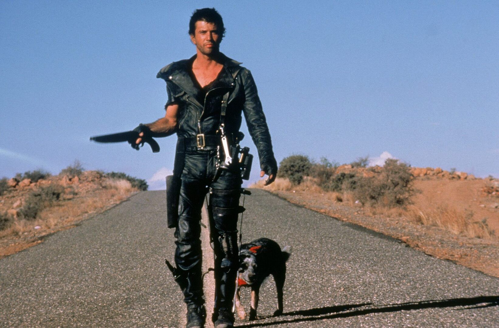 Immagine di copertina per Mad Max