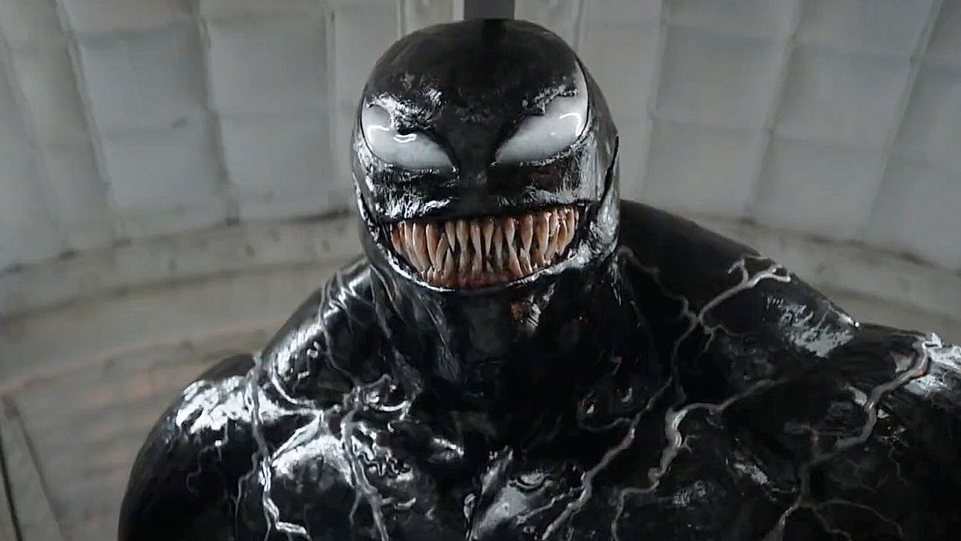 venom: the last dance