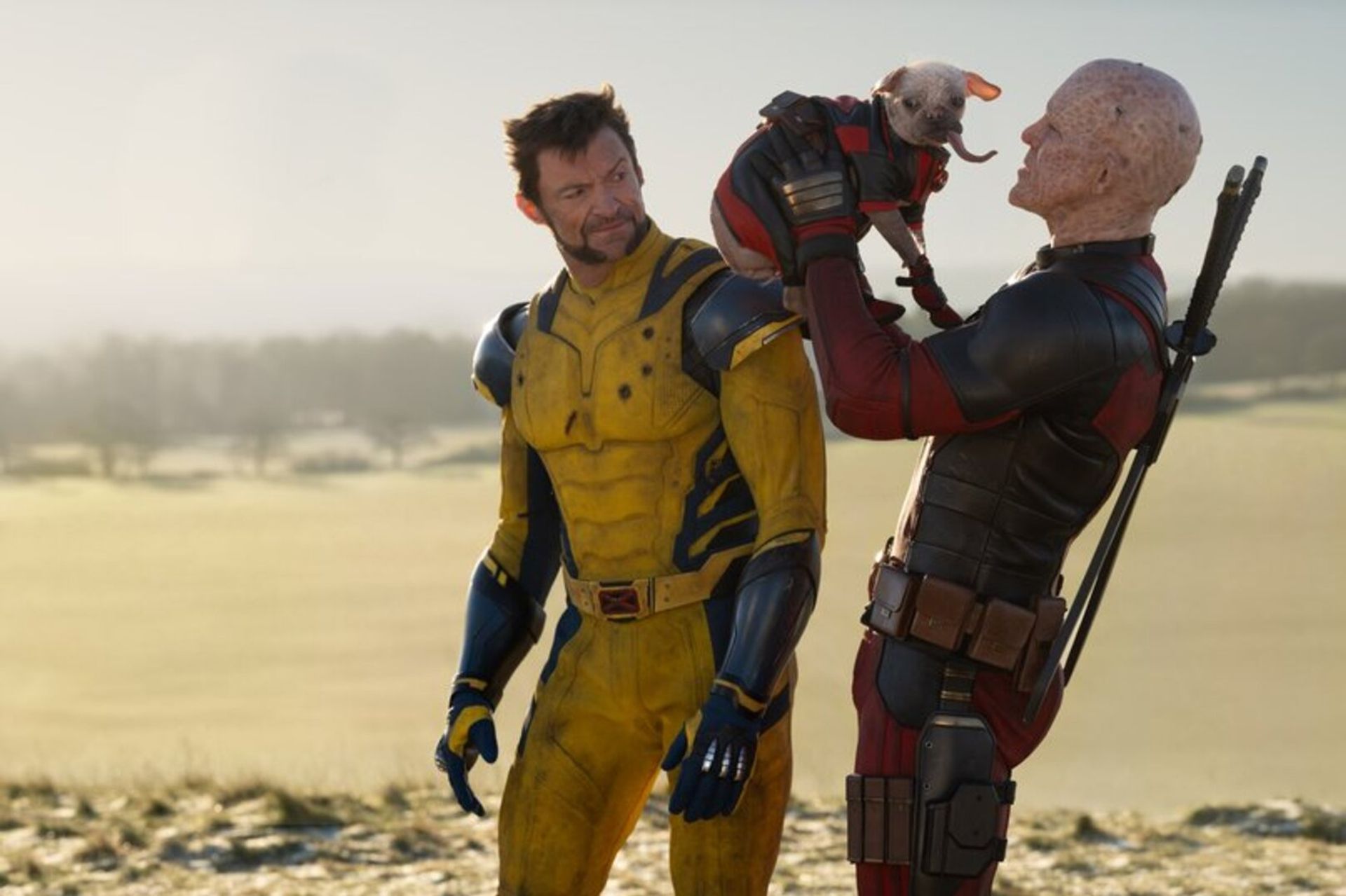 Deadpool &amp; Wolverine