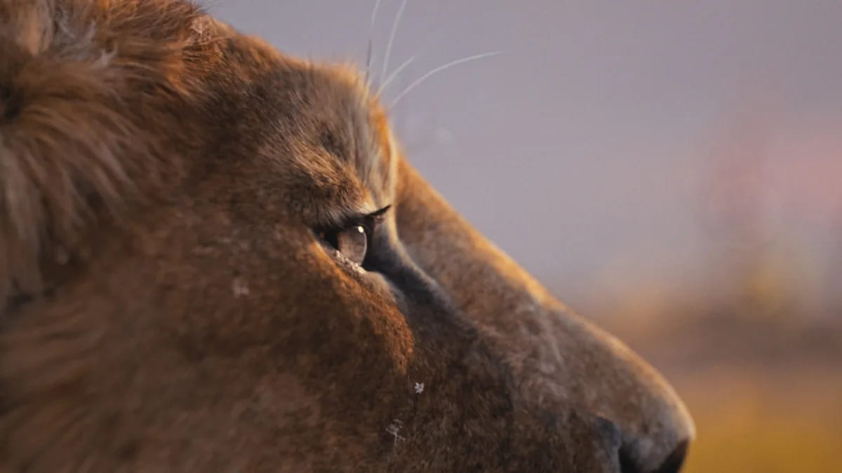 Una scena da Mufasa: Il Re Leone. 10091390