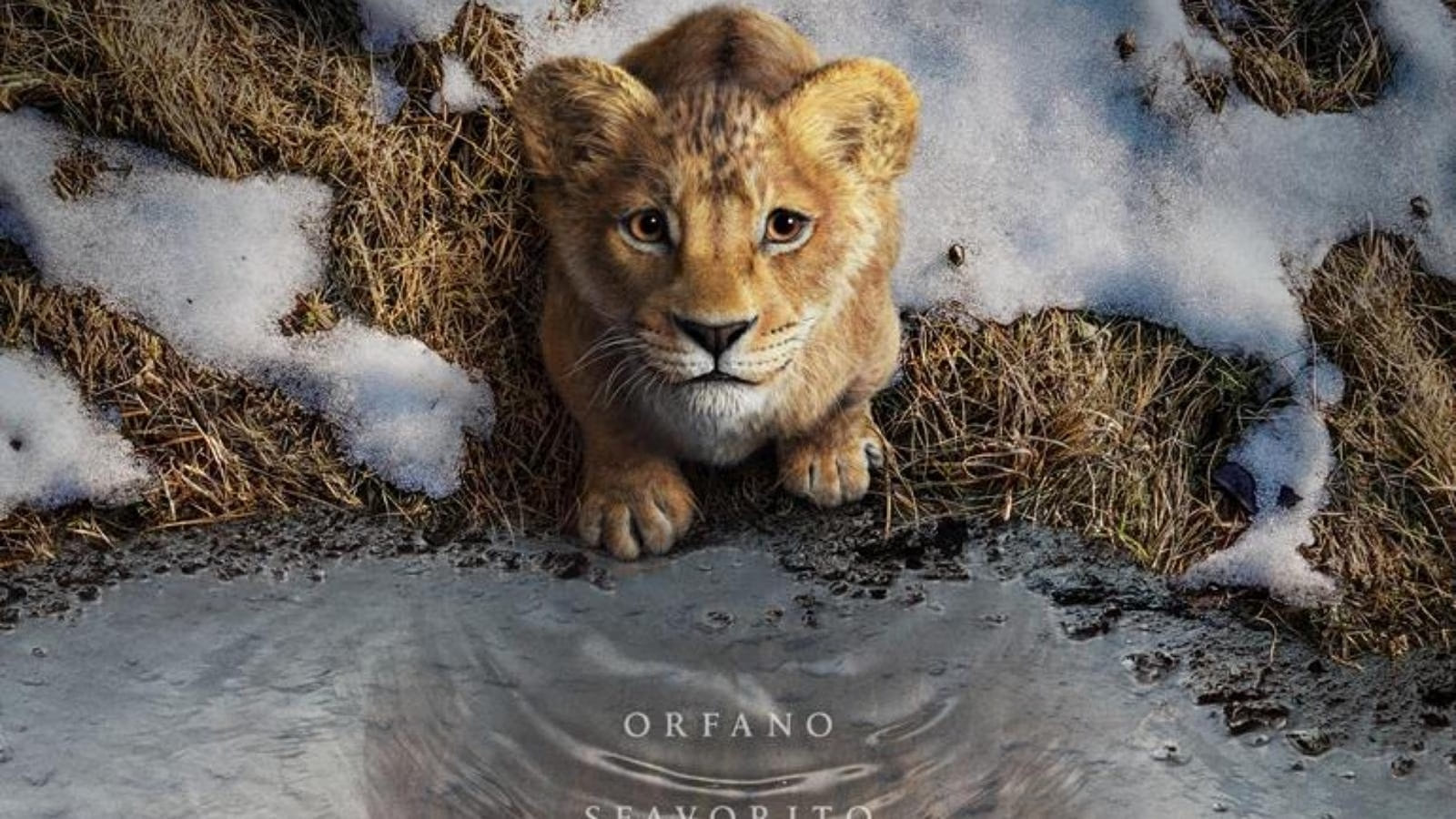 Un poster dal film, Mufasa: Il re leone.