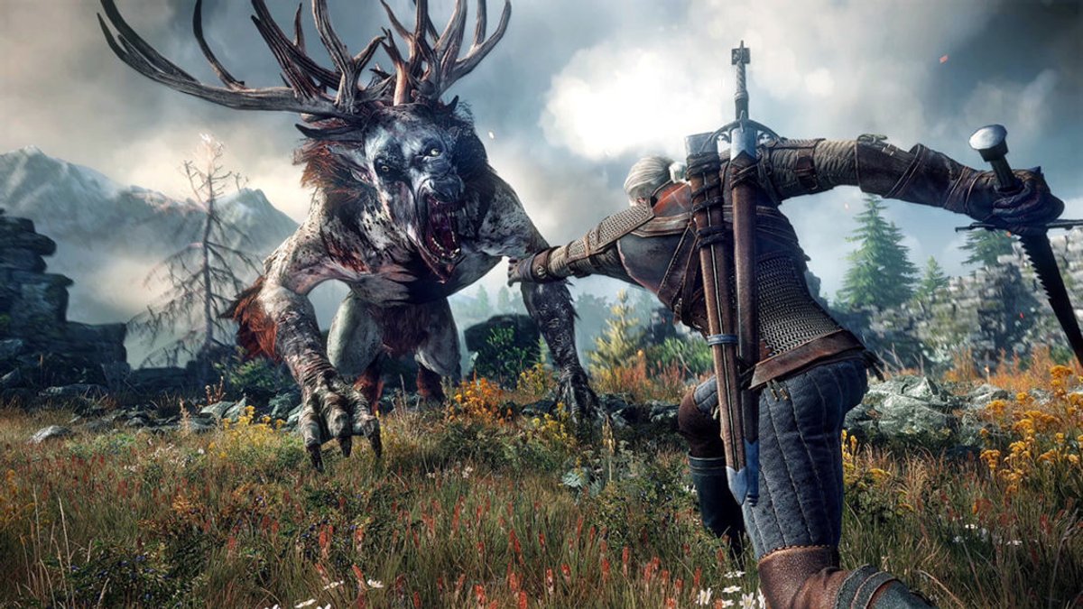 The Witcher
