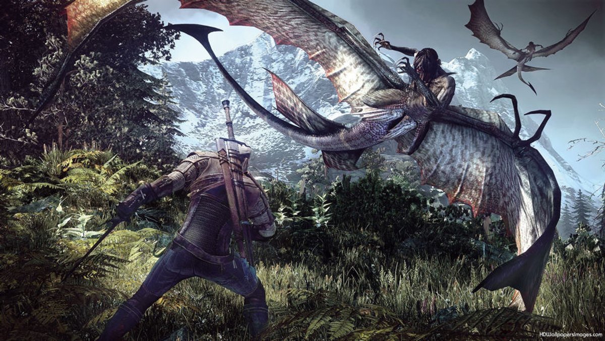 The Witcher Wild Hunt