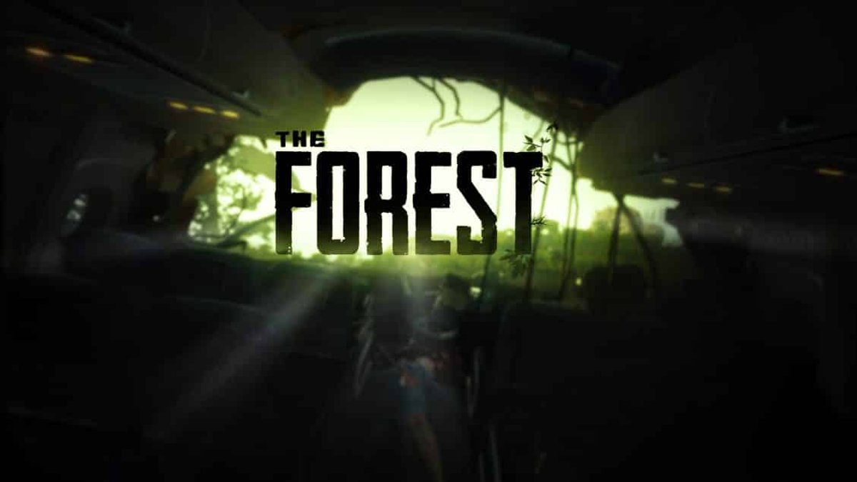 the forest 1