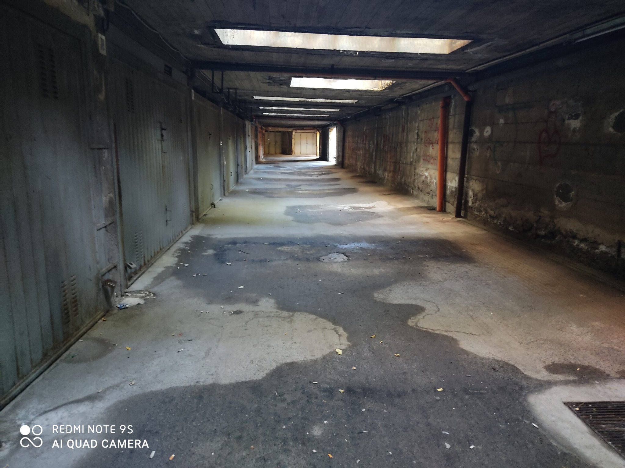 IMG 20200716 082507 scaled