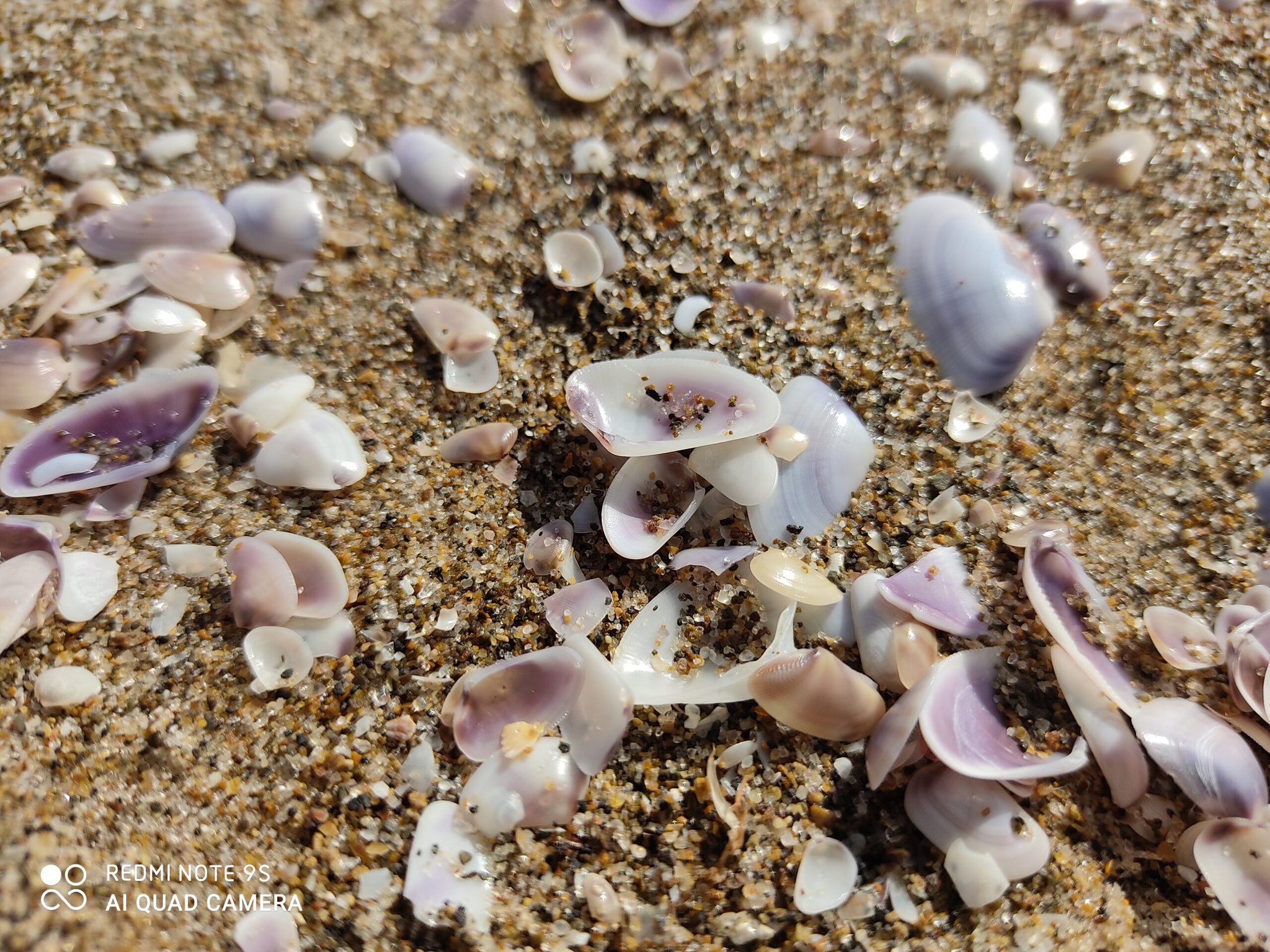 IMG 20200716 090727 scaled