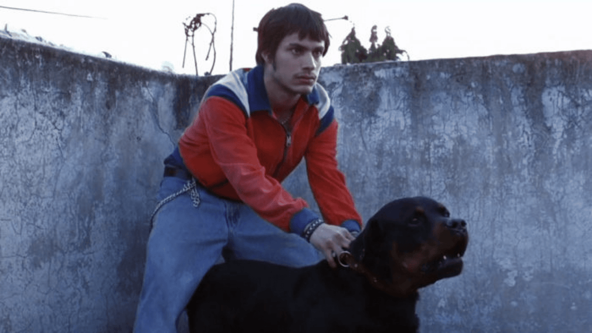 Octavio in una scena di Amores Perros