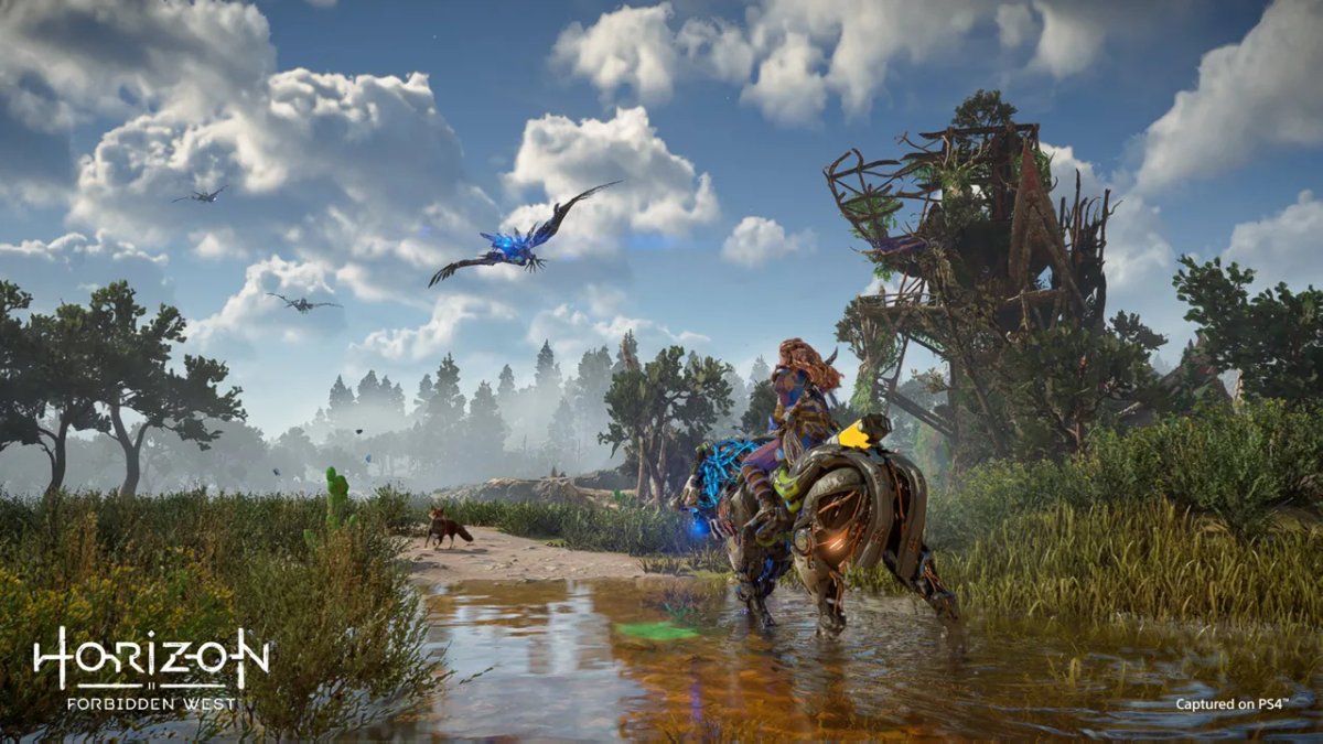Open World in Horizon