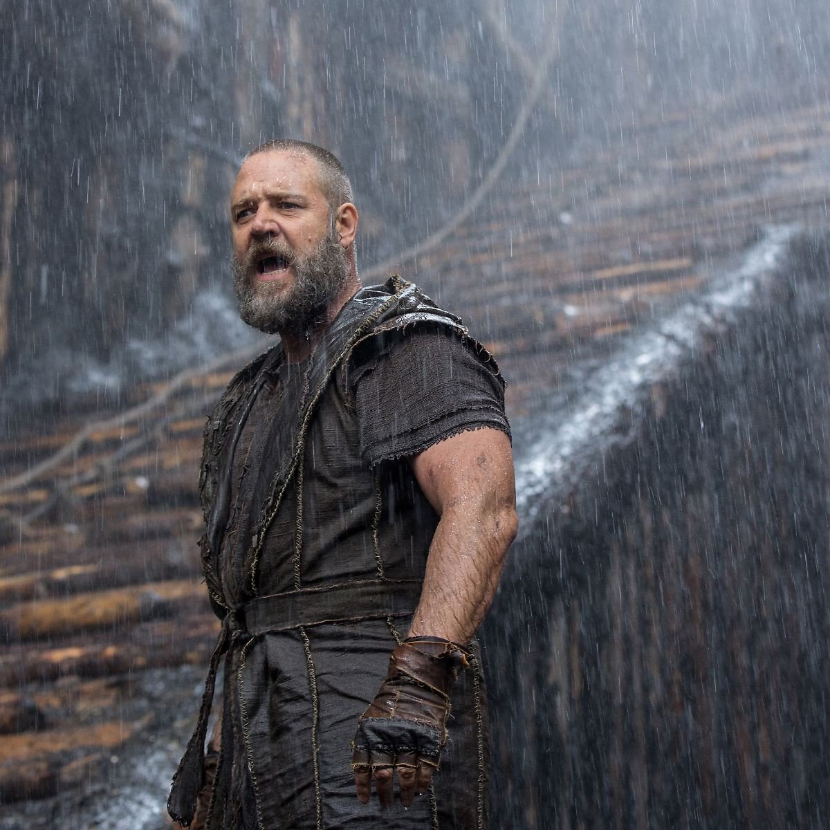 noah pasquetta