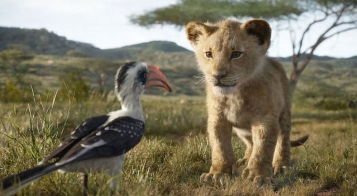 il re leone live-action disney