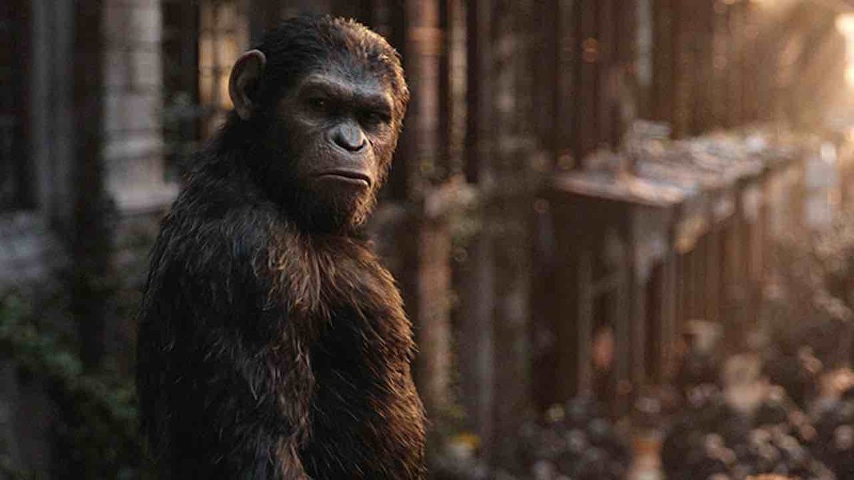 Plante of Apes