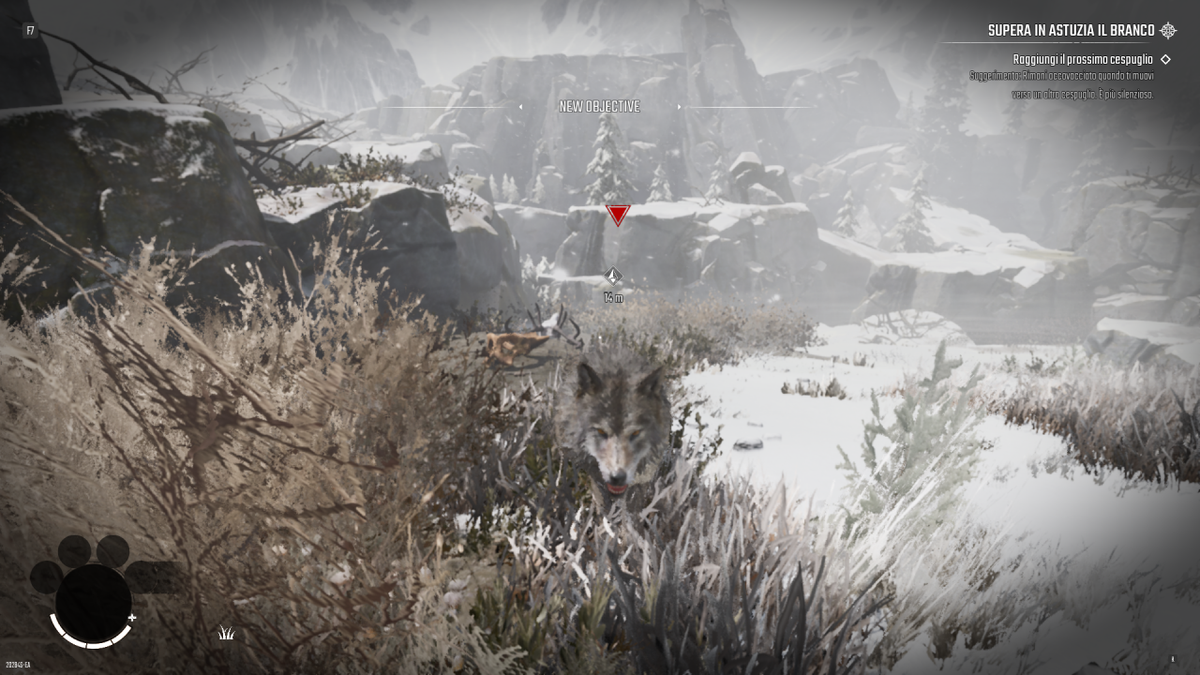 Un lupo pronto ad attaccare il giocatore in Winter Survival