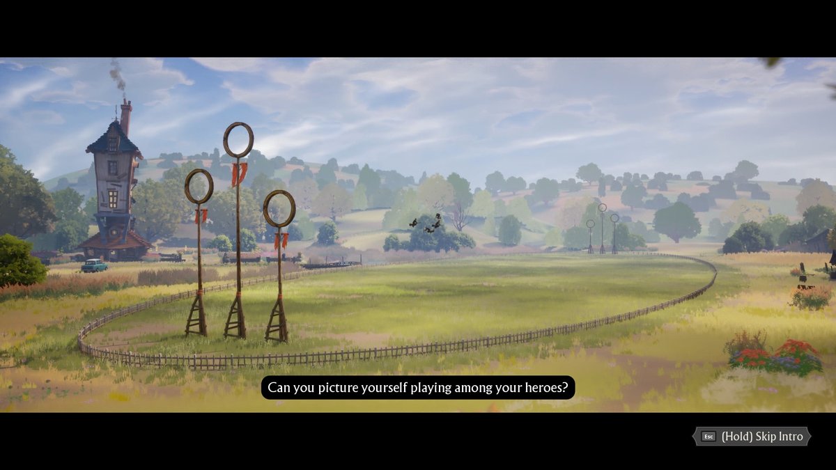 Harry Potter: Quidditch Champions campo