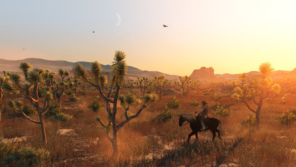 Red Dead Redemption grafica