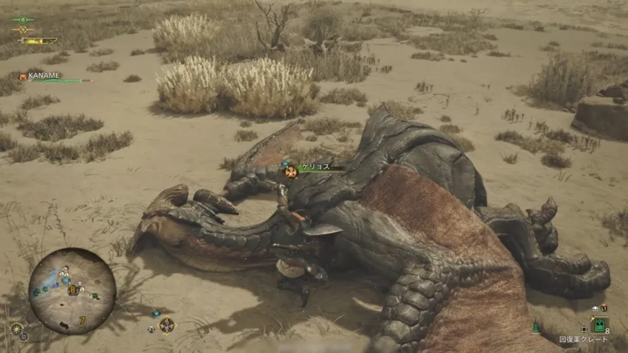 Corpo di un mostro ucciso dopo il combattimento su Monster Hunter Wilds