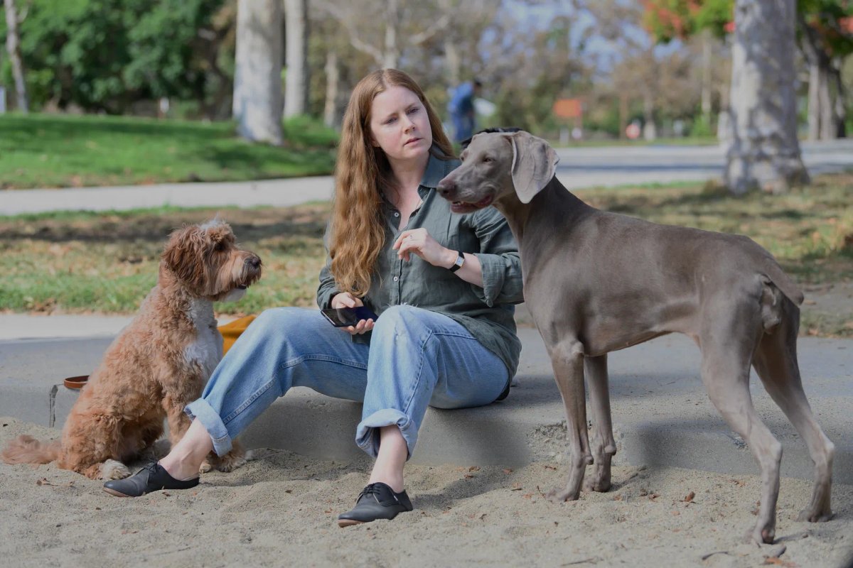 Amy Adams in una scena di Nightbitch.