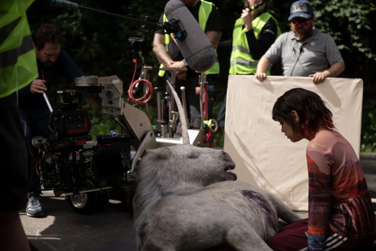 Un'immagine dal set di Death of a Unicorn.