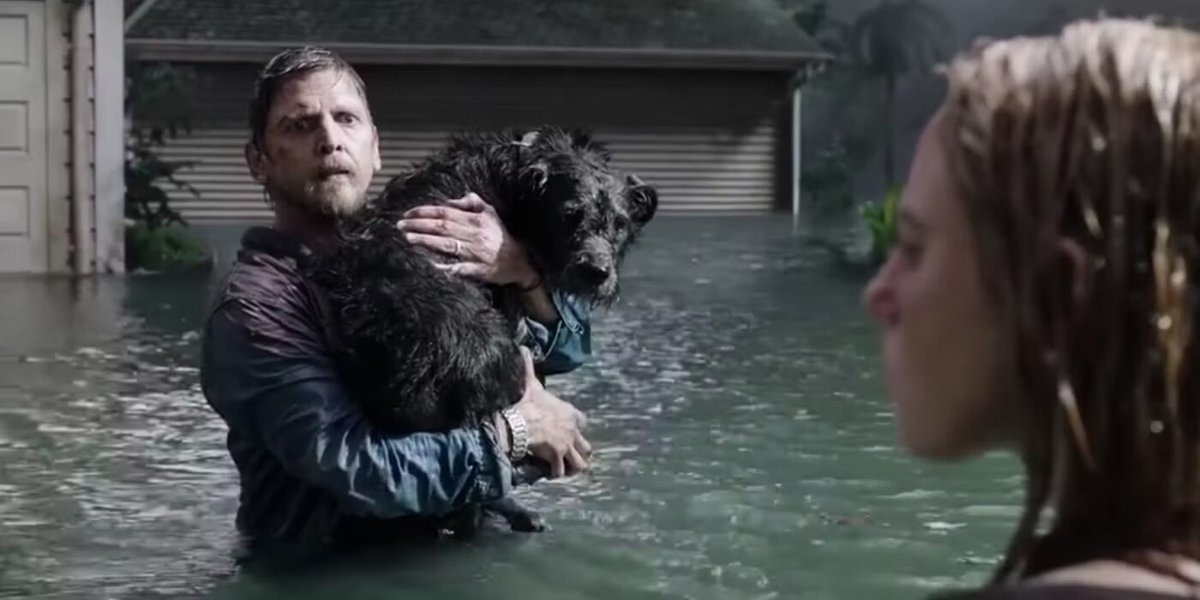 Una scena dal film horror, Crawl - Intrappolati.