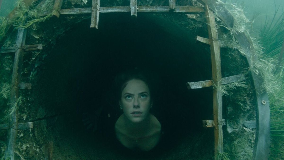 Una scena dal film horror, Crawl - Intrappolati.