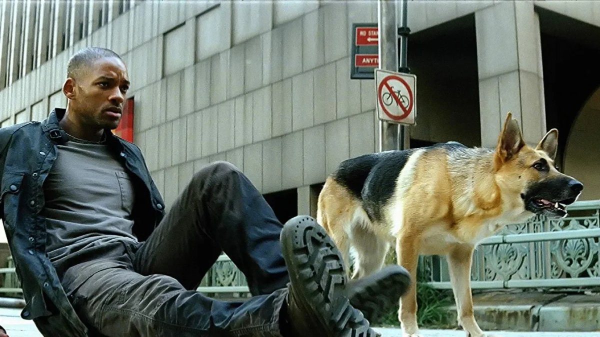 Una scena dal film, Io sono leggenda.