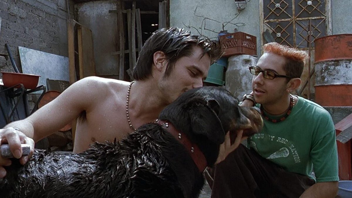 Una scena tratta da "Amores Perros".