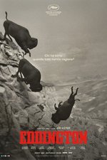 Poster di Eddington