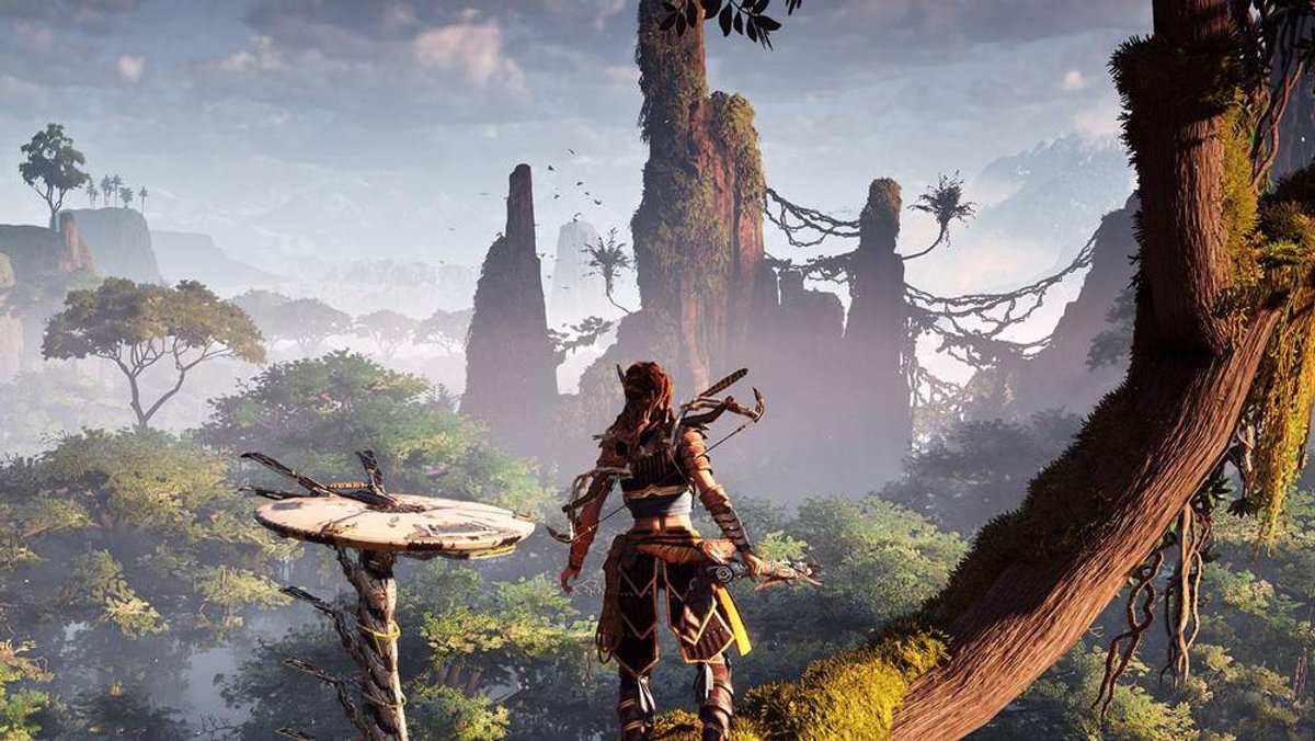 hzd 1